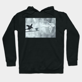 Spread Your Wings... Hoodie